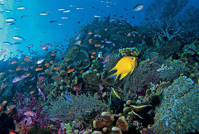 Snorkeling & relaxing time in the blue lagoon