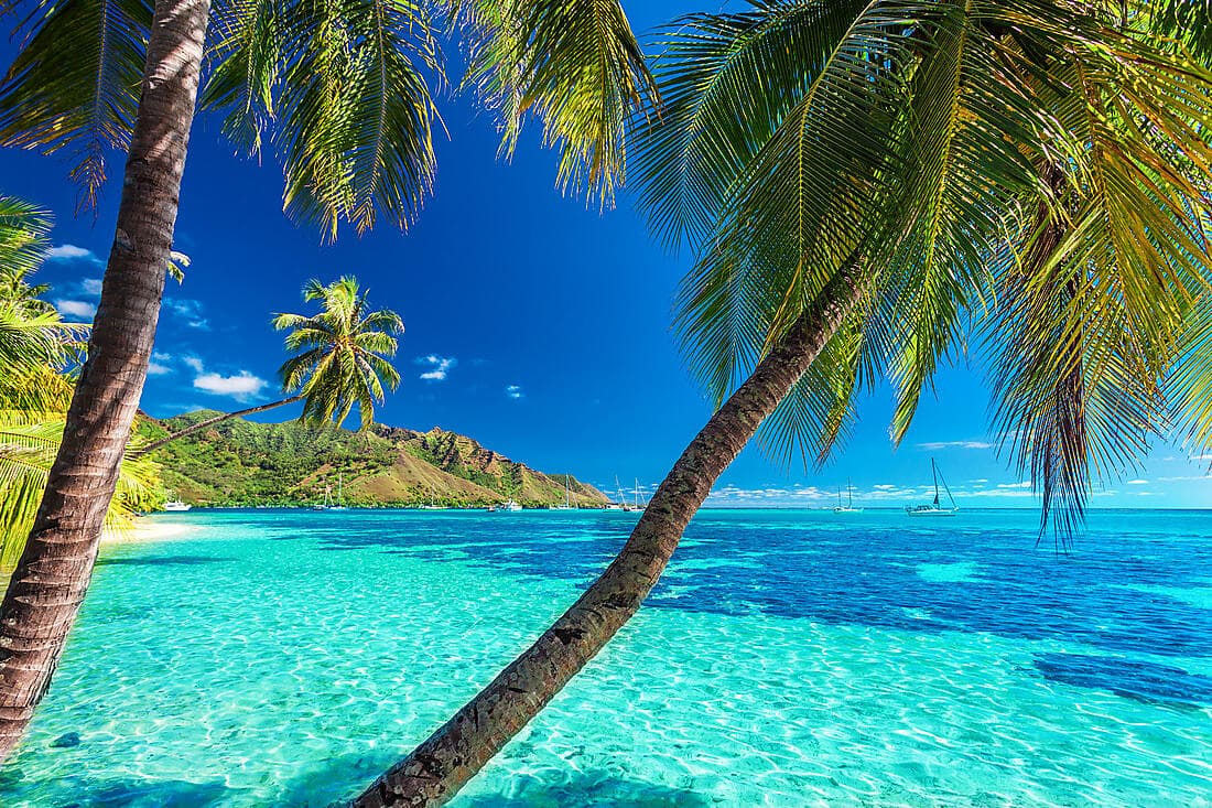 Relaxing sojourn in Moorea (3 nights)